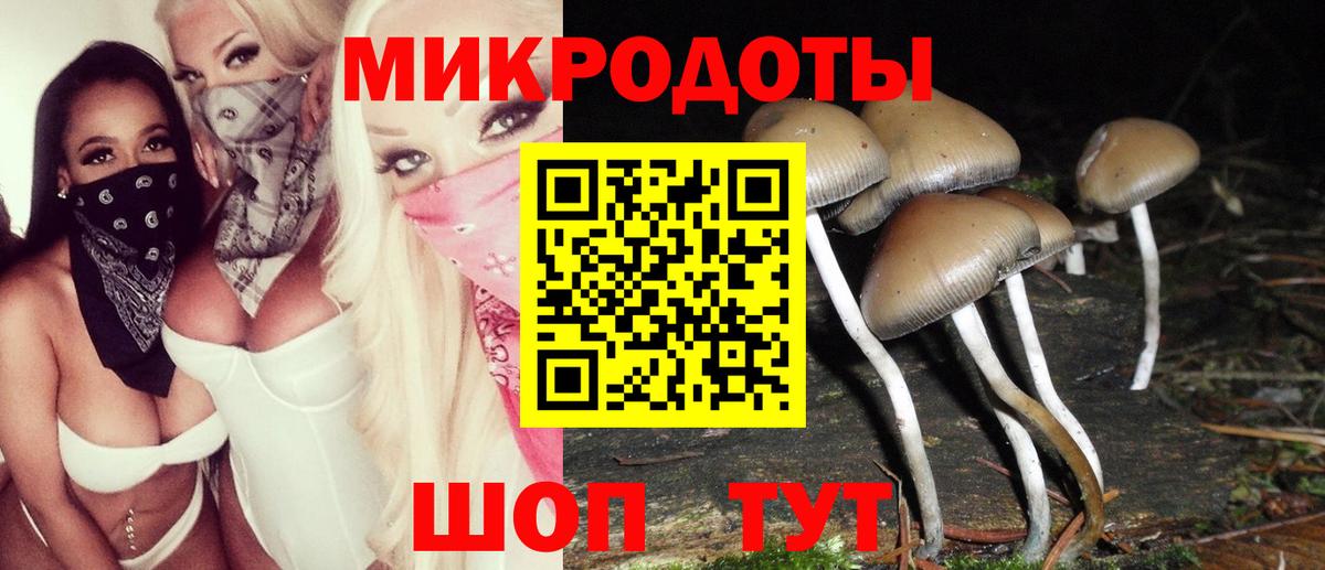 Елизово  Галлюциногенные грибы мухоморы  Галлюциногенные грибы ЛСД  Вход с VPN 